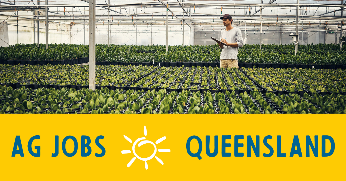 Brindley Park Feedlot Positions, Roma Ag Jobs Queensland